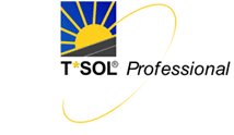 T Sol Professional Logo